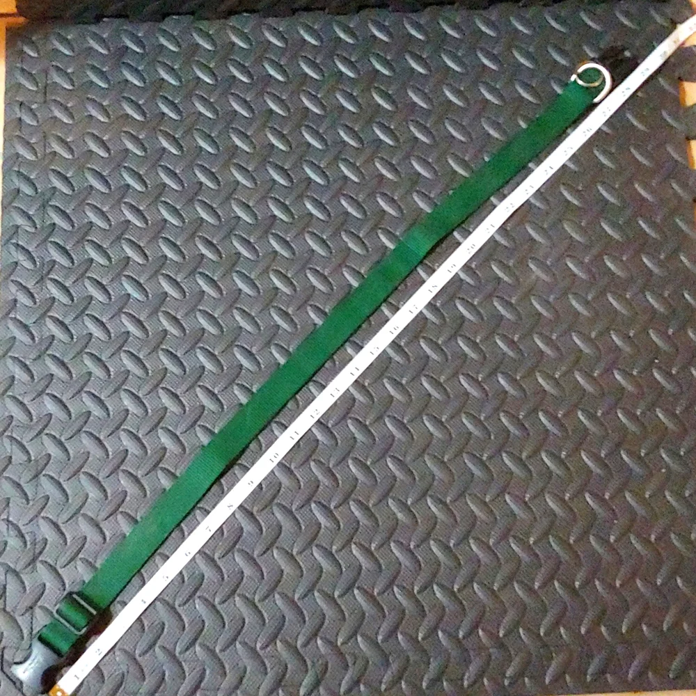 GREEN DOG COLLAR * PET COLLAR * 17-30